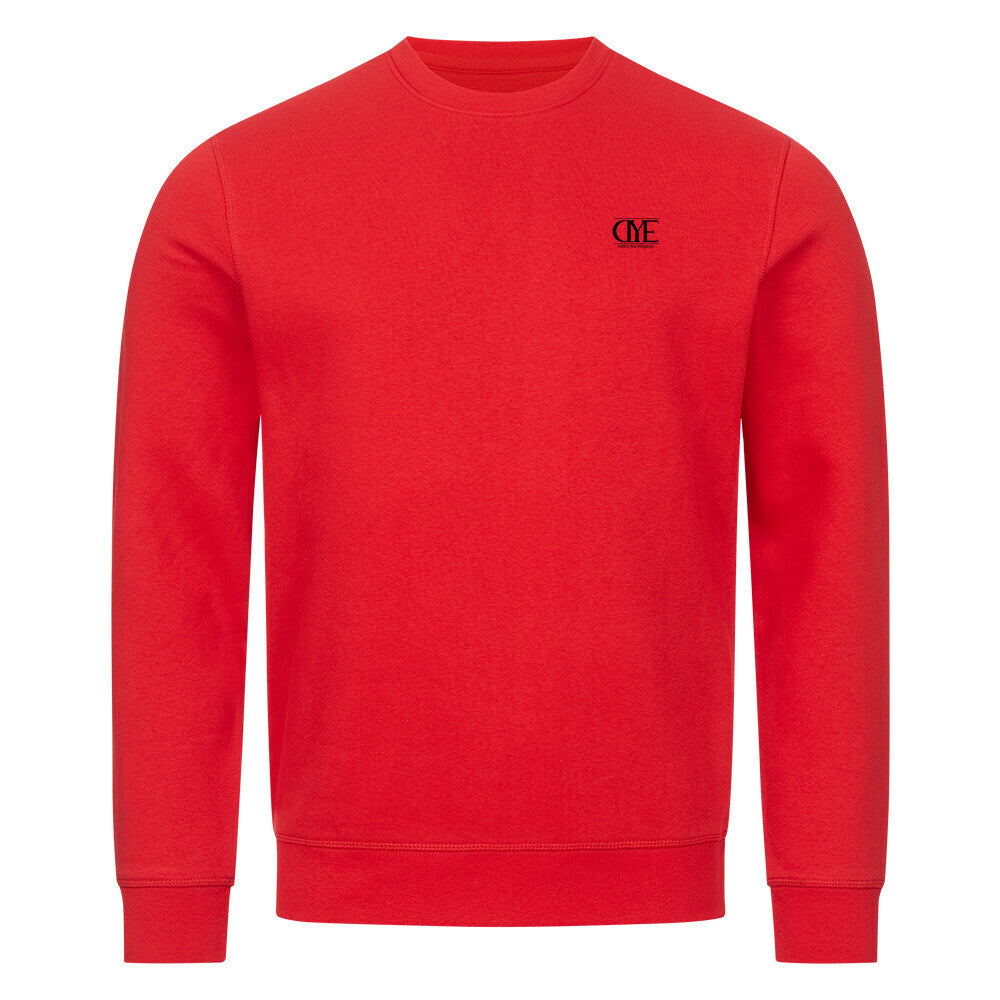 Image for color: bright red